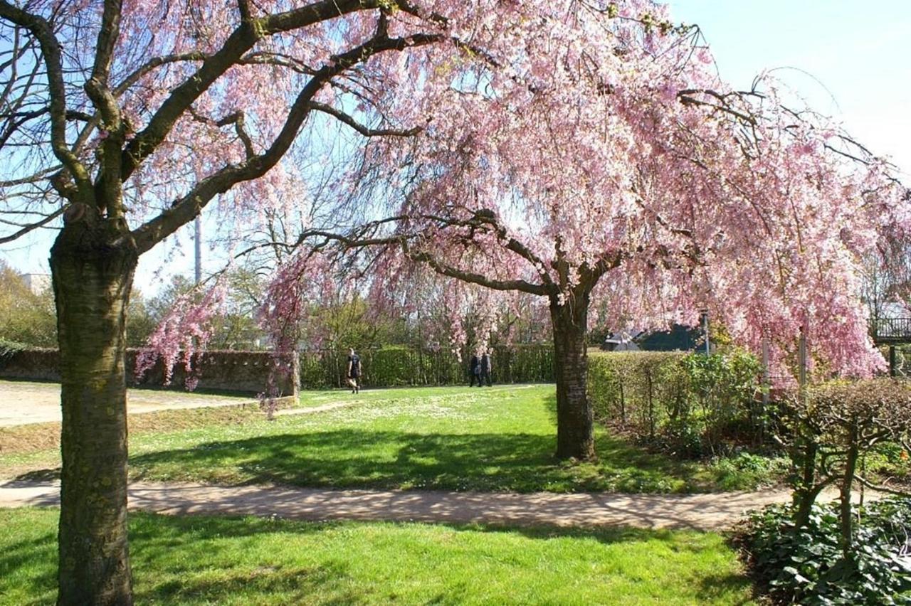 Maison De Longde-Appartement Avec 2 Chambres Villejuif Eksteriør billede